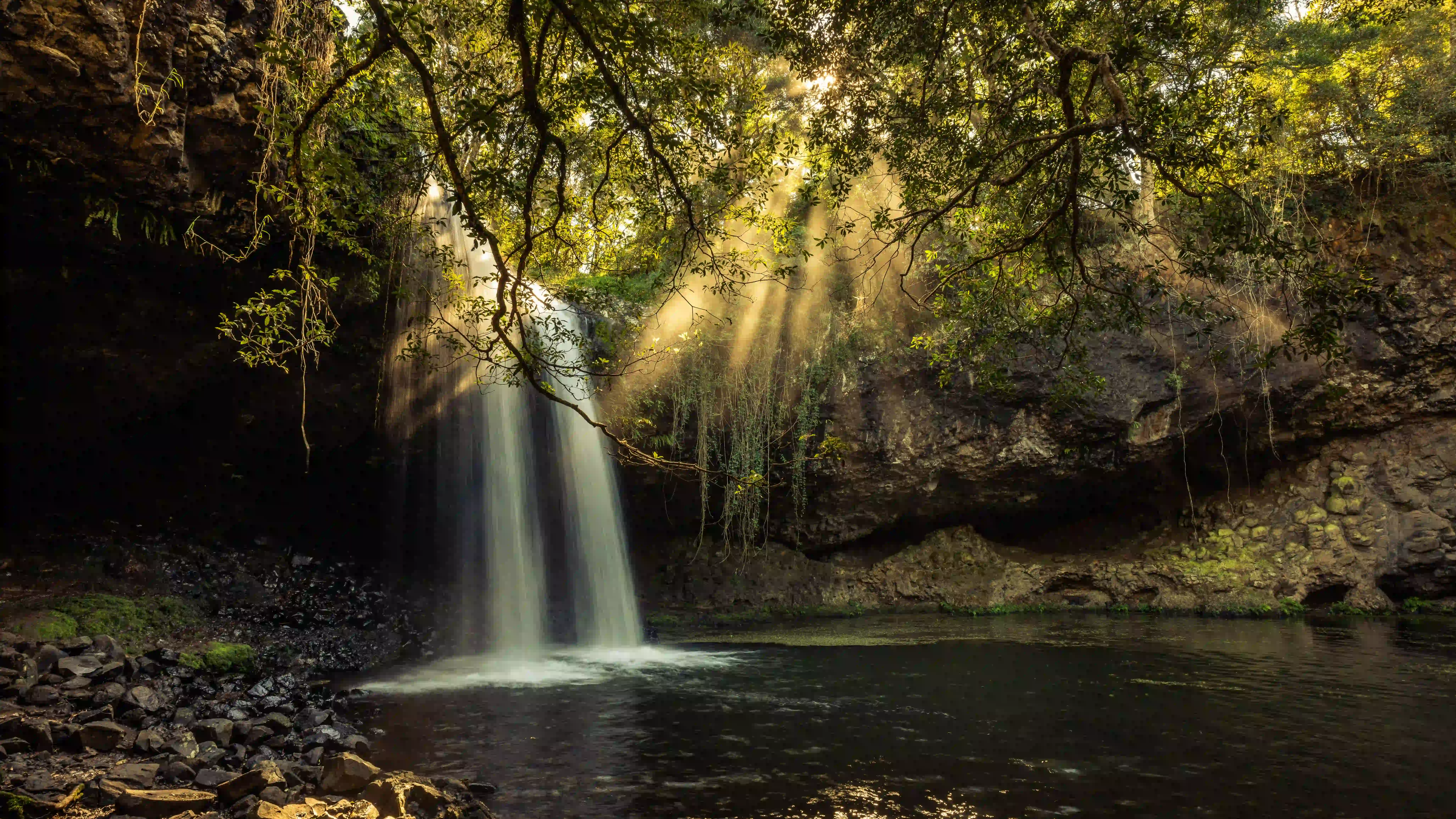 Lush Byron Bay hinterland rainforest and waterfall day trip destination